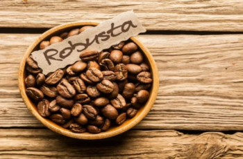 arabica-vs-robusta